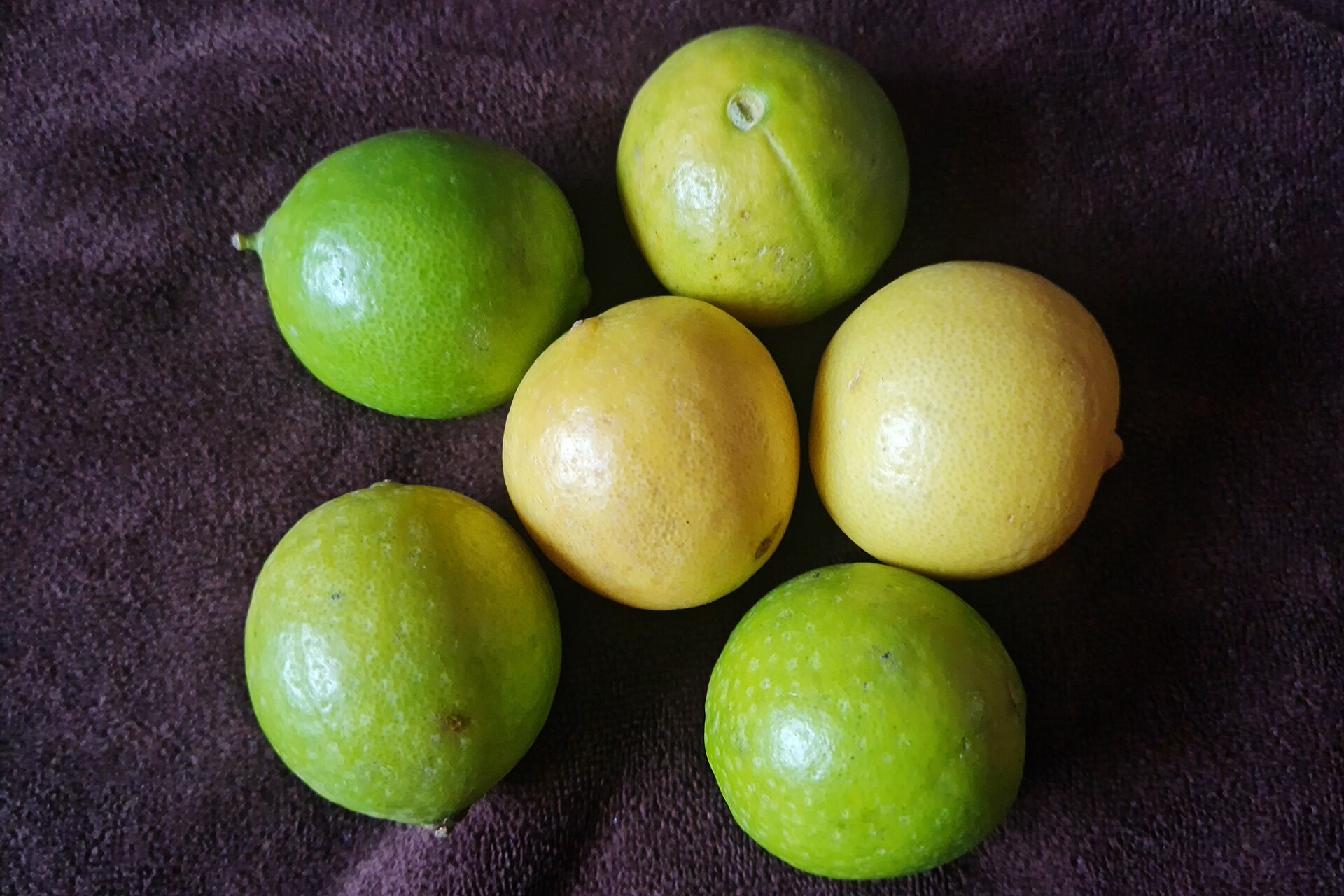 Lime (sitwon) — Citrus aurantifolia, used in Haitian and Caribbean herbal tradition