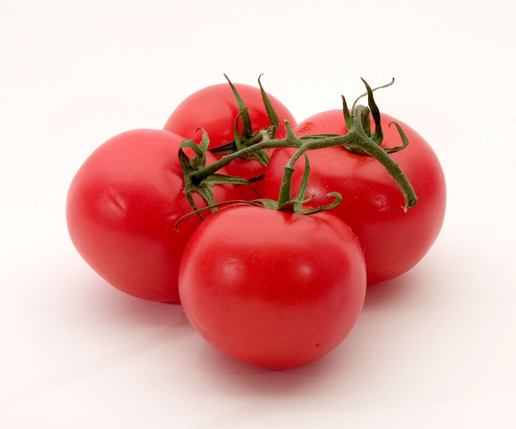 Tomato (tomat) — Lycopersicon esculentum, used in Haitian and Caribbean herbal tradition